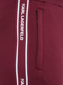 Мужские бордовые спортивные брюки модель 534910.705039;390 Фото