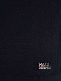 Футболка Karl Lagerfeld модель 542307.655041;690 Футболка Karl Lagerfeld модель 542307.655041;690 Фото