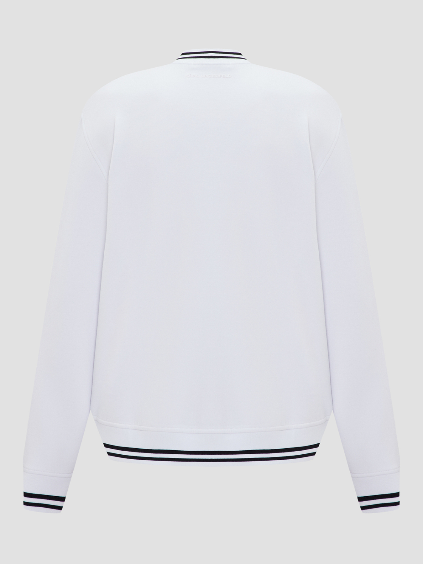 Мужская белая спортивная кофта модель 543904.705410;10 Мужская белая спортивная кофта модель 543904.705410;10 Фото