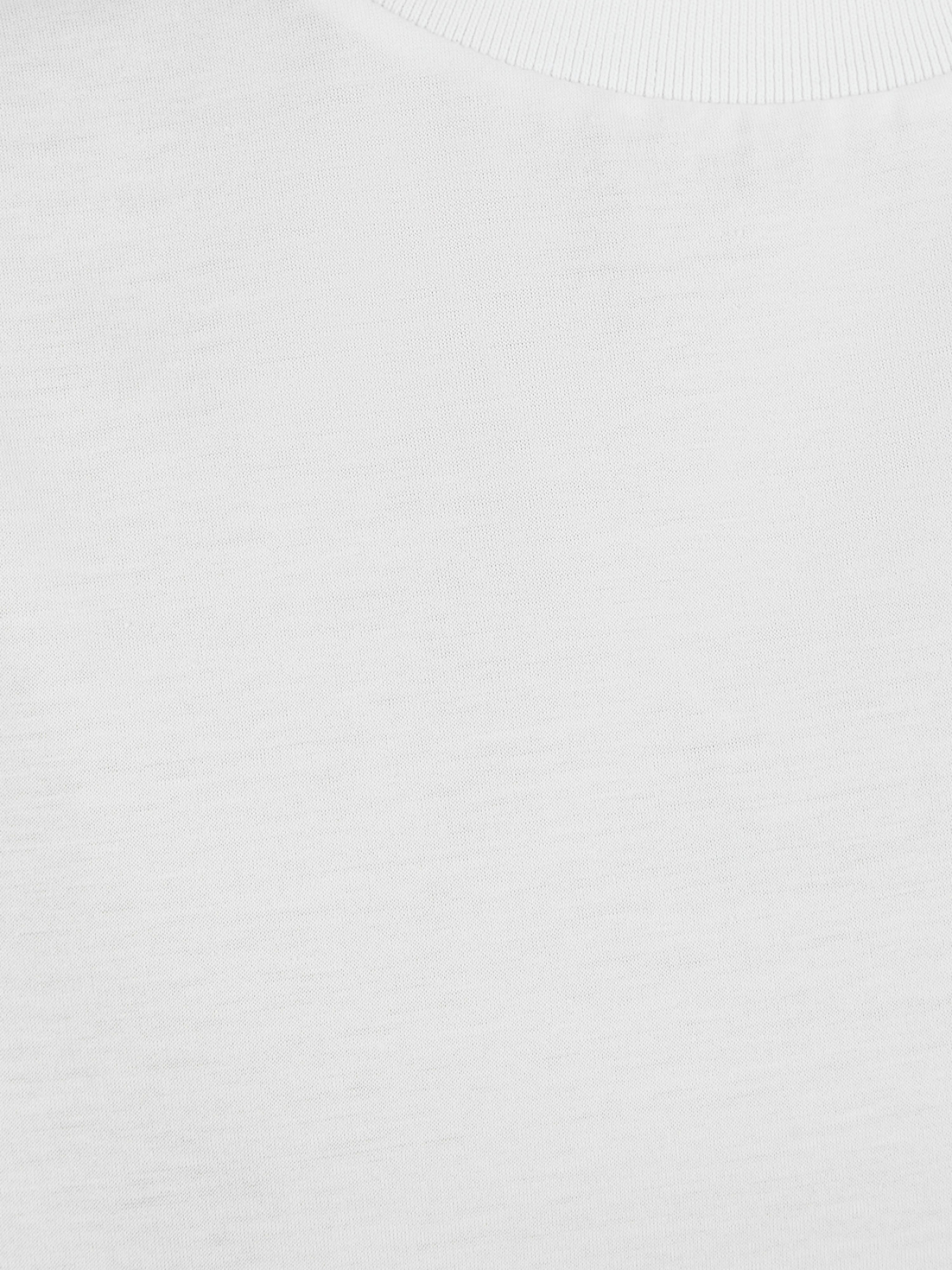 Футболка Karl Lagerfeld модель 551200.755080;10 Фото