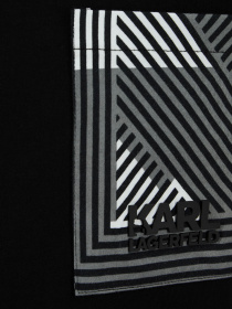Футболка Karl Lagerfeld модель 551221.755091;990 Фото