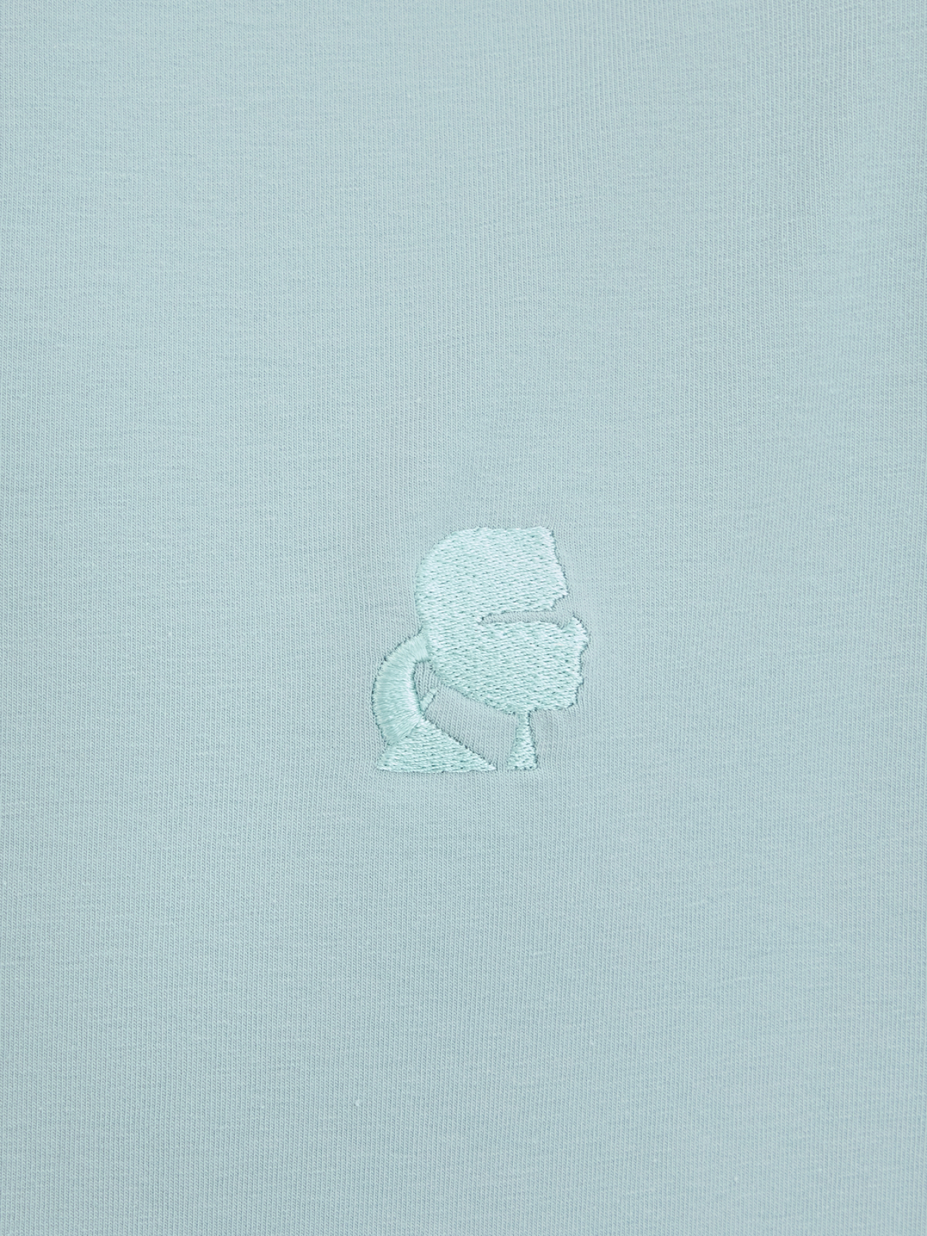 Футболка Karl Lagerfeld модель 551221.755750;600 Фото