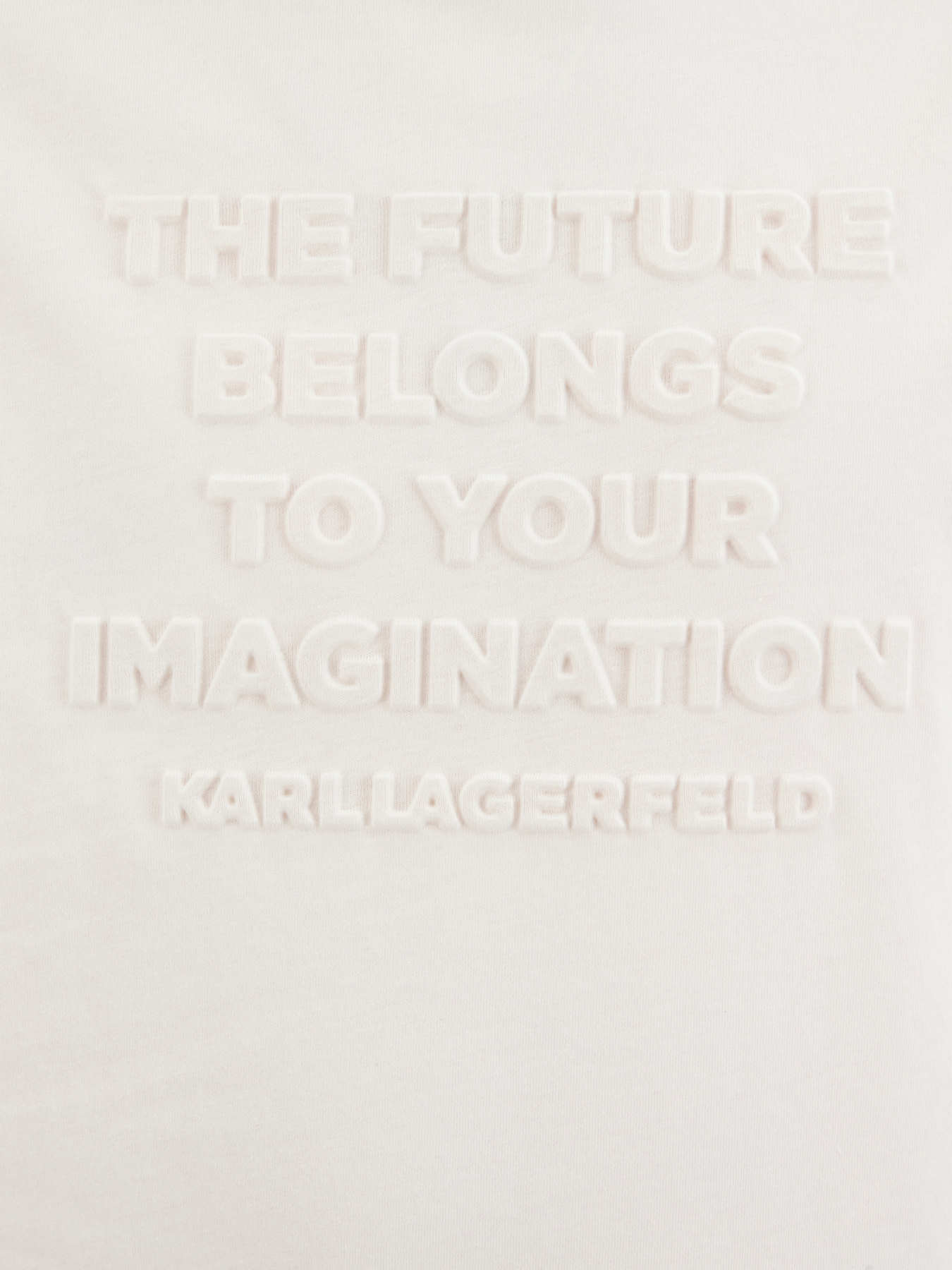 Футболка Karl Lagerfeld модель 551225.755085;60 Фото