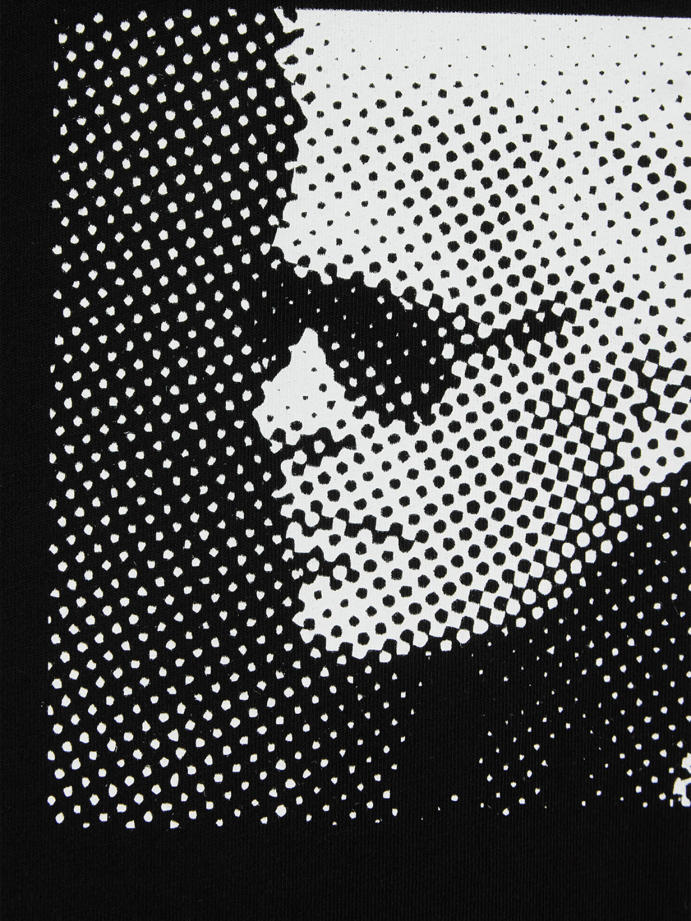 Футболка Karl Lagerfeld модель 551225.755290;990 Фото