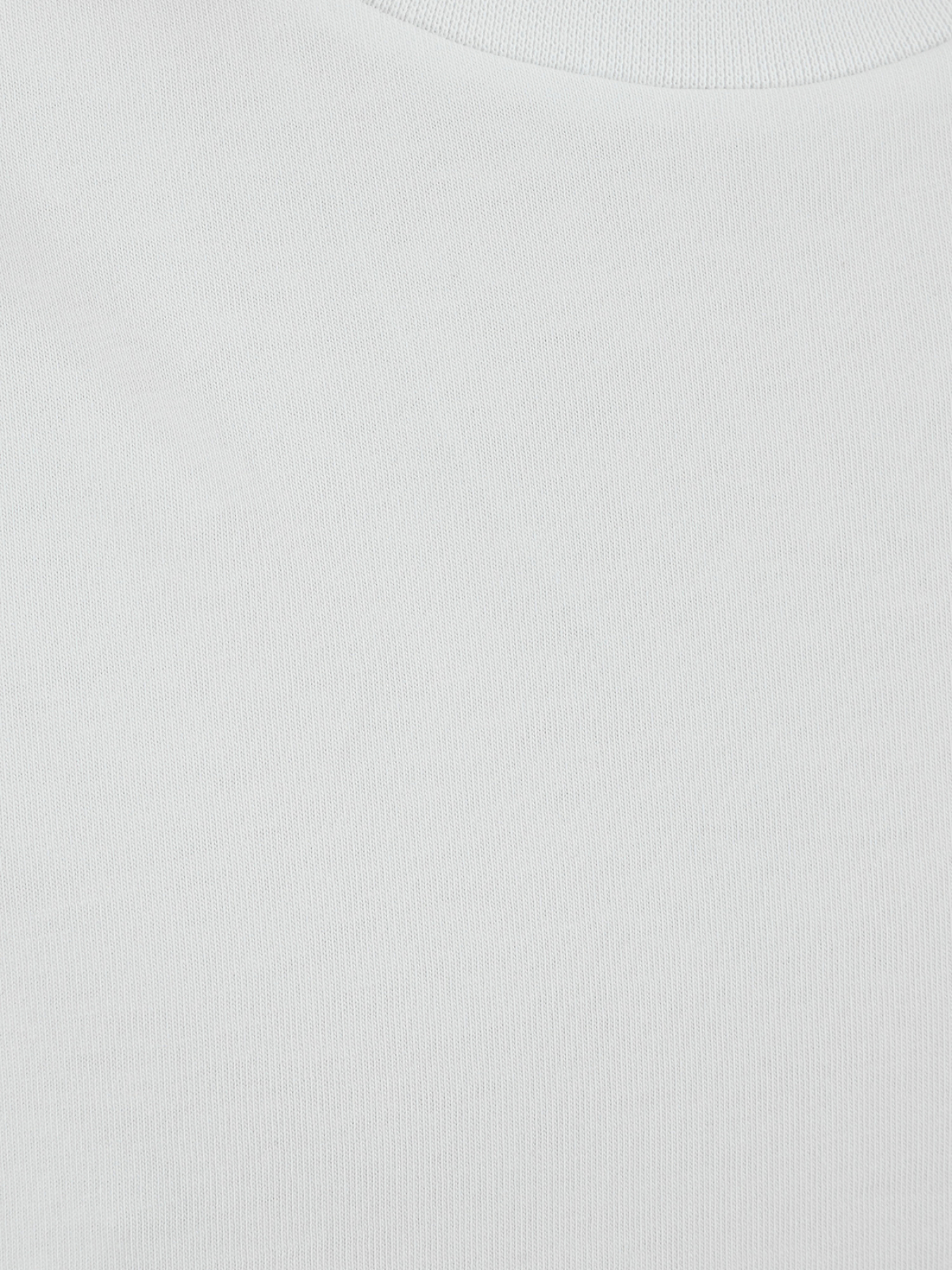 Футболка Karl Lagerfeld модель 551230.755192;10 Фото