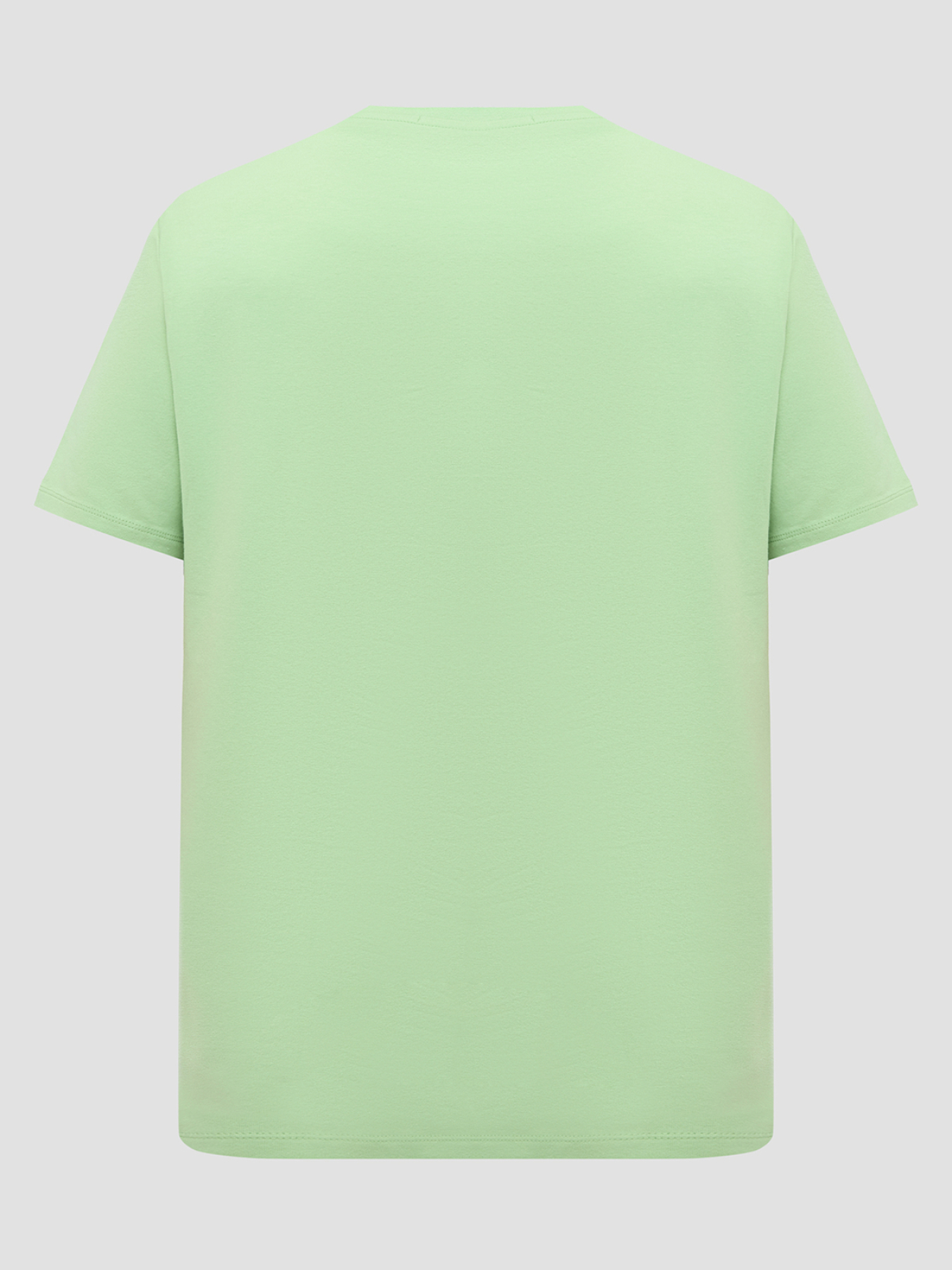 Футболка Karl Lagerfeld модель 552235.755030;500 Фото