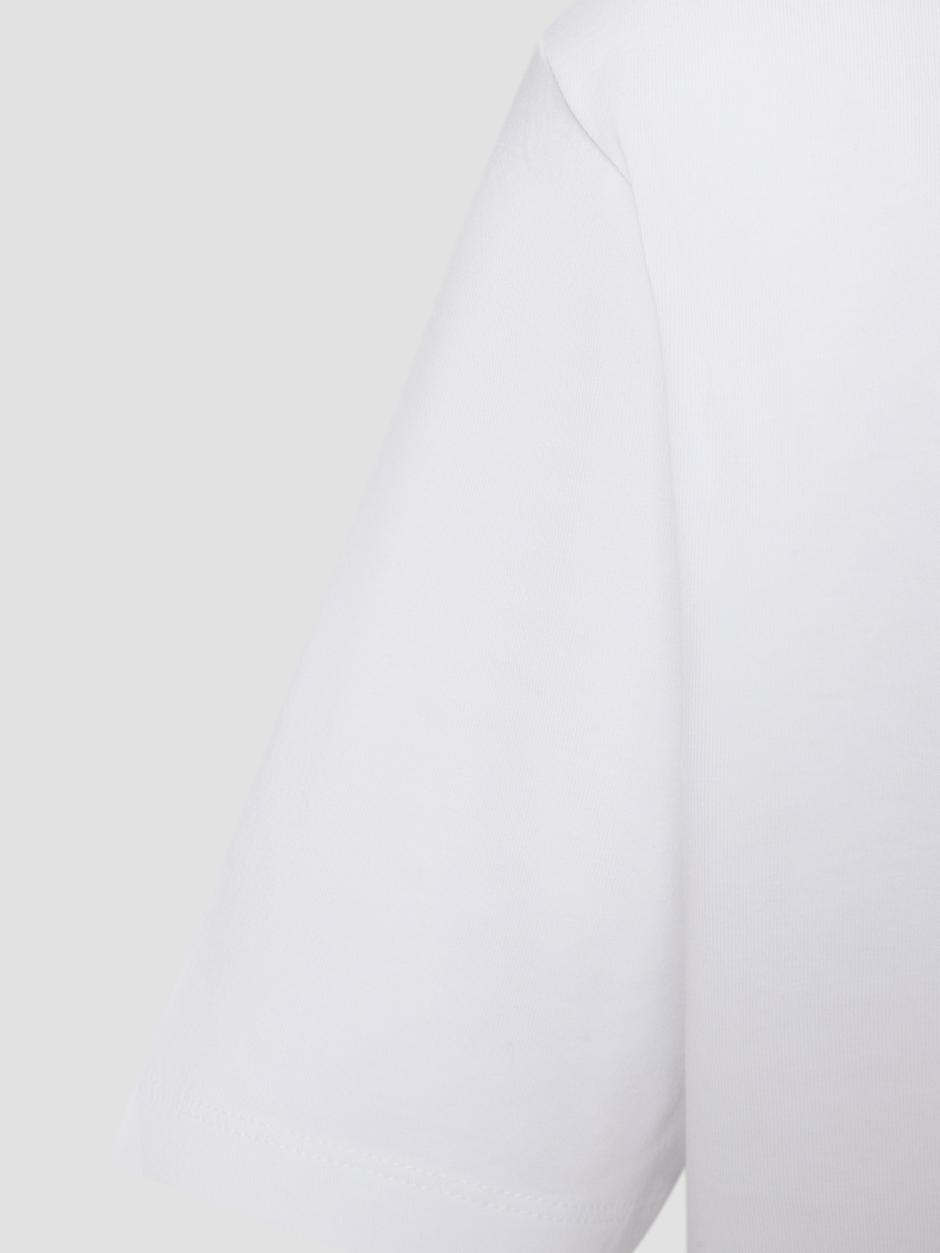 Футболка Karl Lagerfeld модель 552235.755087;10 Фото