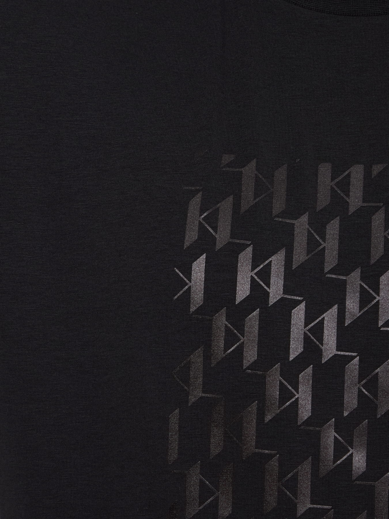 Футболка Karl Lagerfeld модель 553235.755037;990 Фото