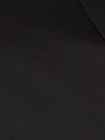 Лонгслів Karl Lagerfeld модель 554200.745002;990 Фото