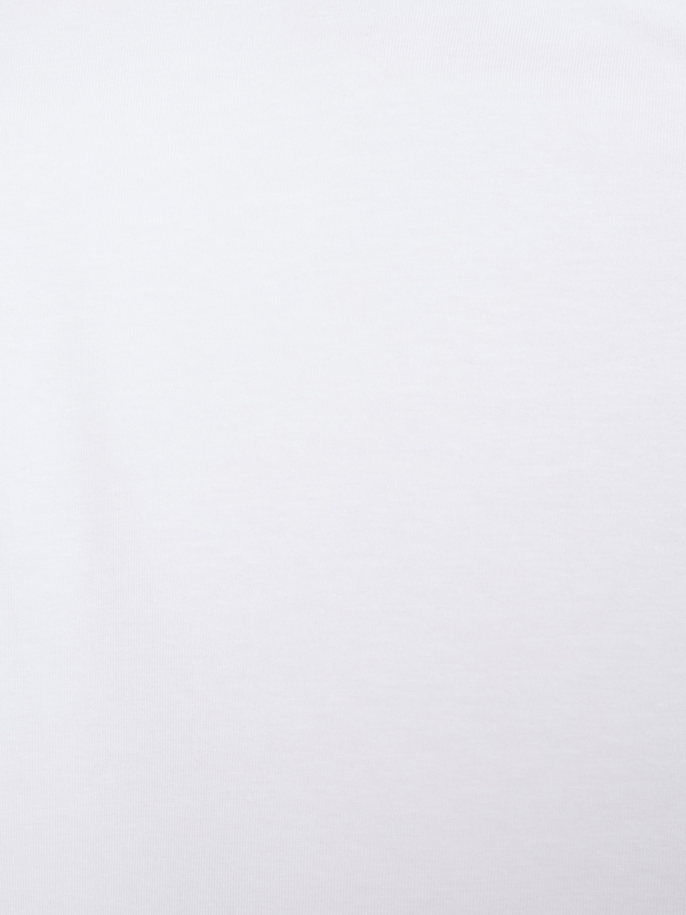 Футболка Karl Lagerfeld модель 554235.755053;10 Фото