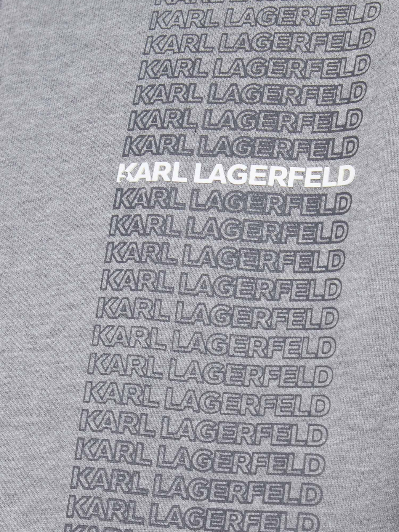 Спортивная кофта Karl Lagerfeld модель 554906.705028;941 Фото