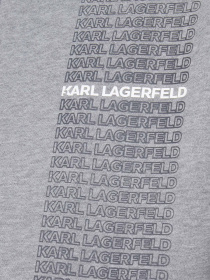 Спортивная кофта Karl Lagerfeld модель 554906.705028;941 Фото