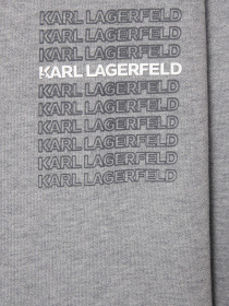 Свитшот Karl Lagerfeld модель 554906.705126;941 Фото