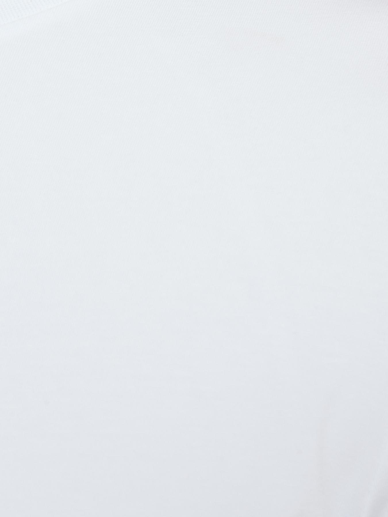 Чоловіча біла футболка модель 561221.755044;10 Фото