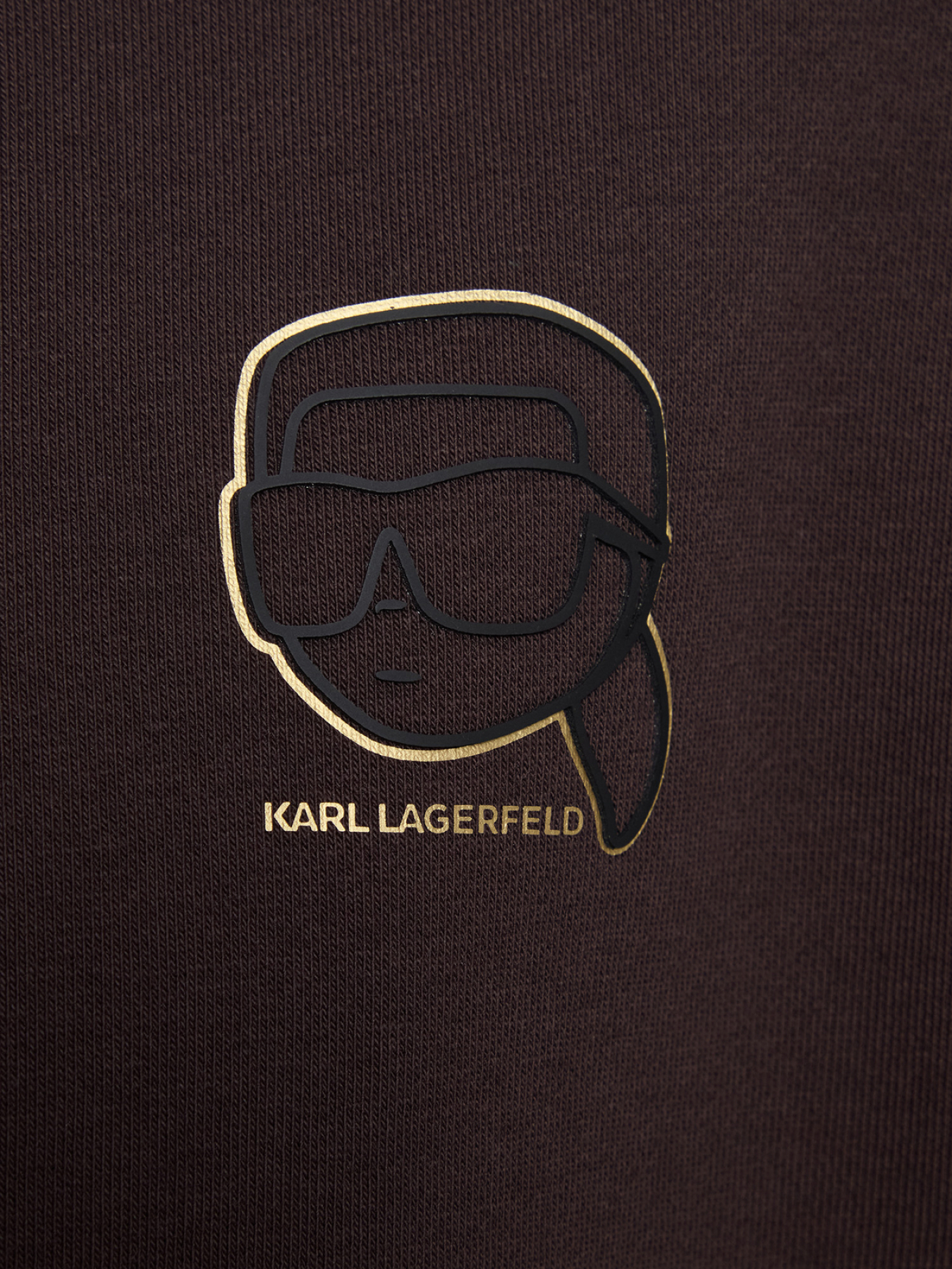 Спортивна кофта Karl Lagerfeld модель 561910.705004;490 Спортивна кофта Karl Lagerfeld модель 561910.705004;490 Фото