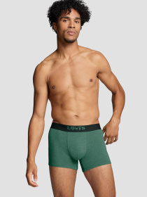 Мужские боксеры (2 шт) модель 701203921;019 Фото