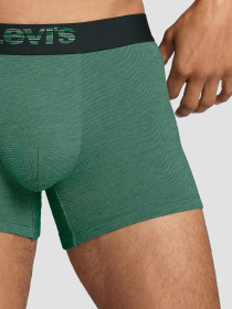 Мужские боксеры (2 шт) модель 701203921;019 Фото