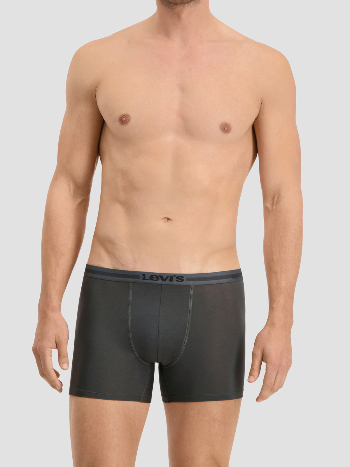 Мужские серые боксеры (2 шт) модель 701203926;005 Фото