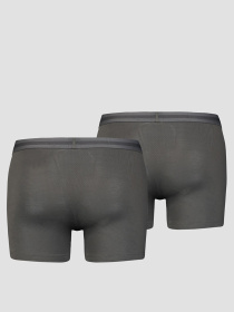 Мужские серые боксеры (2 шт) модель 701203926;005 Фото
