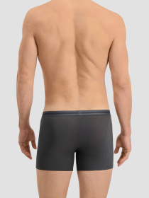 Мужские серые боксеры (2 шт) модель 701203926;005 Фото