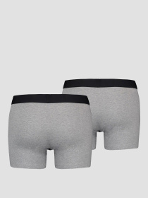 Мужские серые боксеры (2 шт) модель 701222842;007 Фото