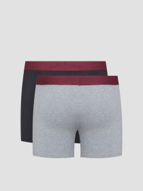 Мужские боксеры (2 шт) модель 701222842;022 Фото