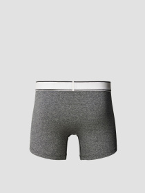 Мужские боксеры (2 шт) модель 701227424;001 Фото