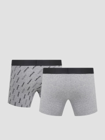 Мужские серые боксеры (2 шт) модель 701227428;002 Фото