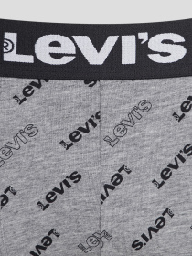 Мужские серые боксеры (2 шт) модель 701227428;002 Фото