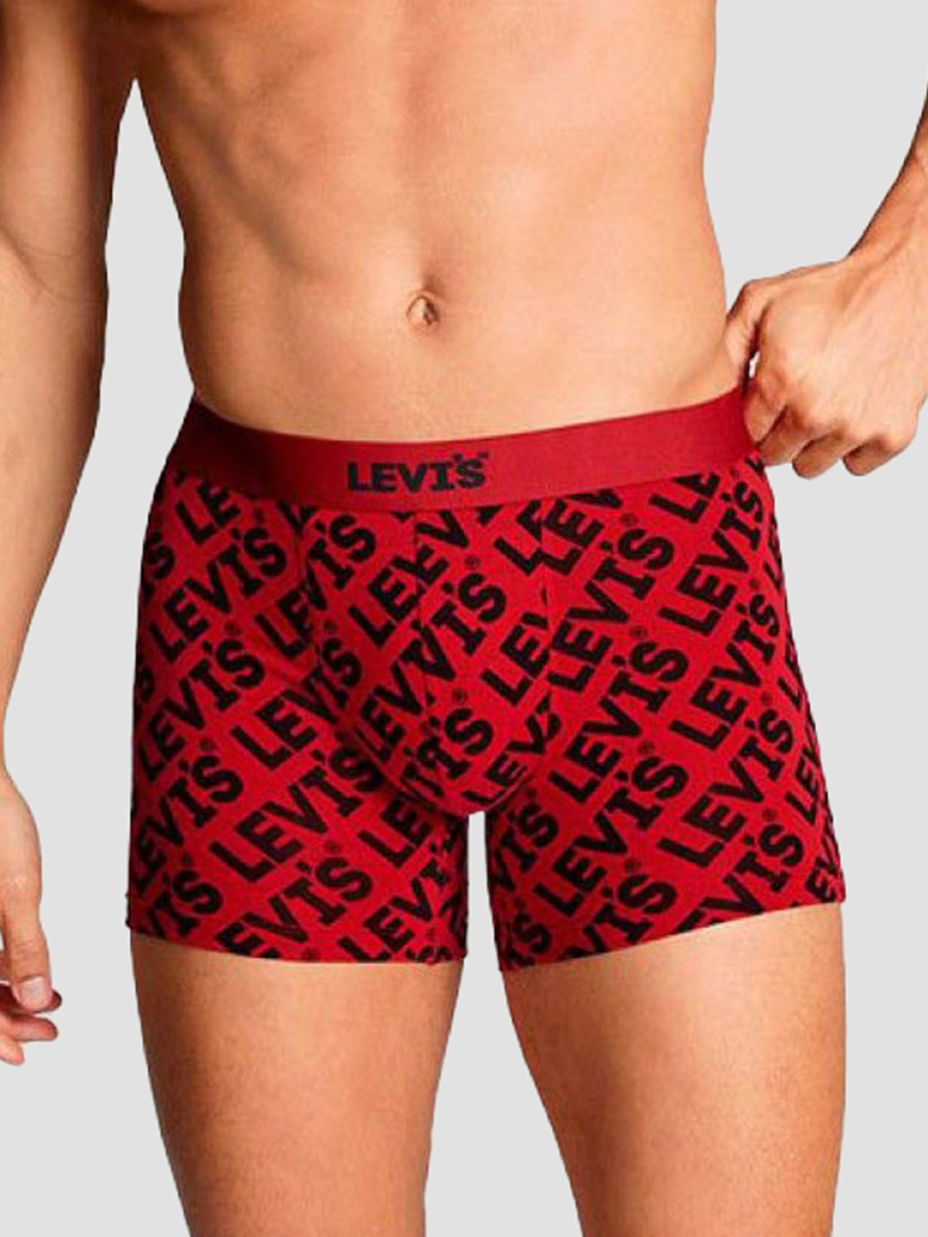 Мужские боксеры (2 шт) модель 701229536;002 Фото