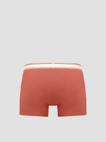 Труси Levi's модель 701232220;002 Фото