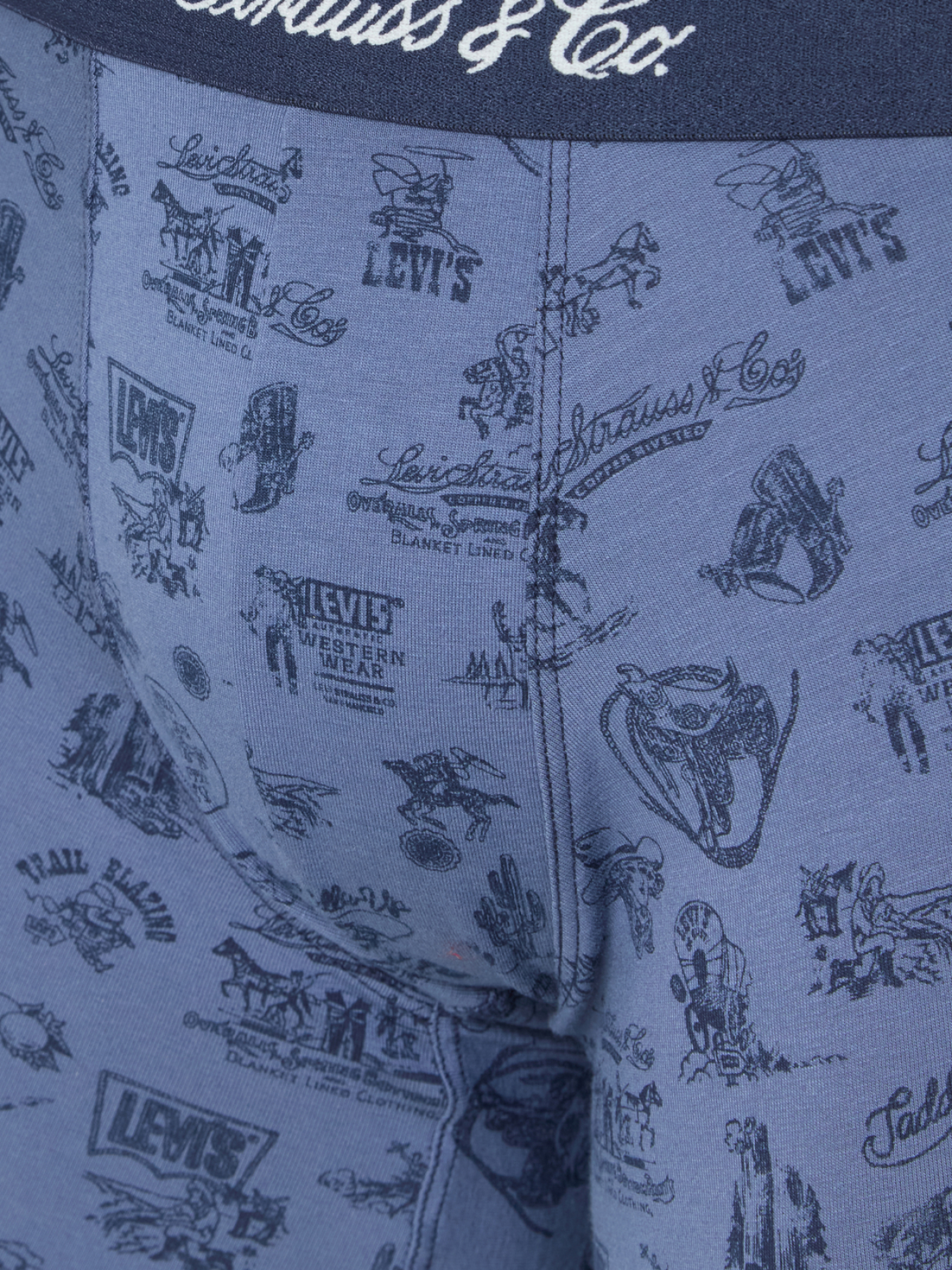 Мужские боксеры (2 шт) модель 701235950;001 Фото