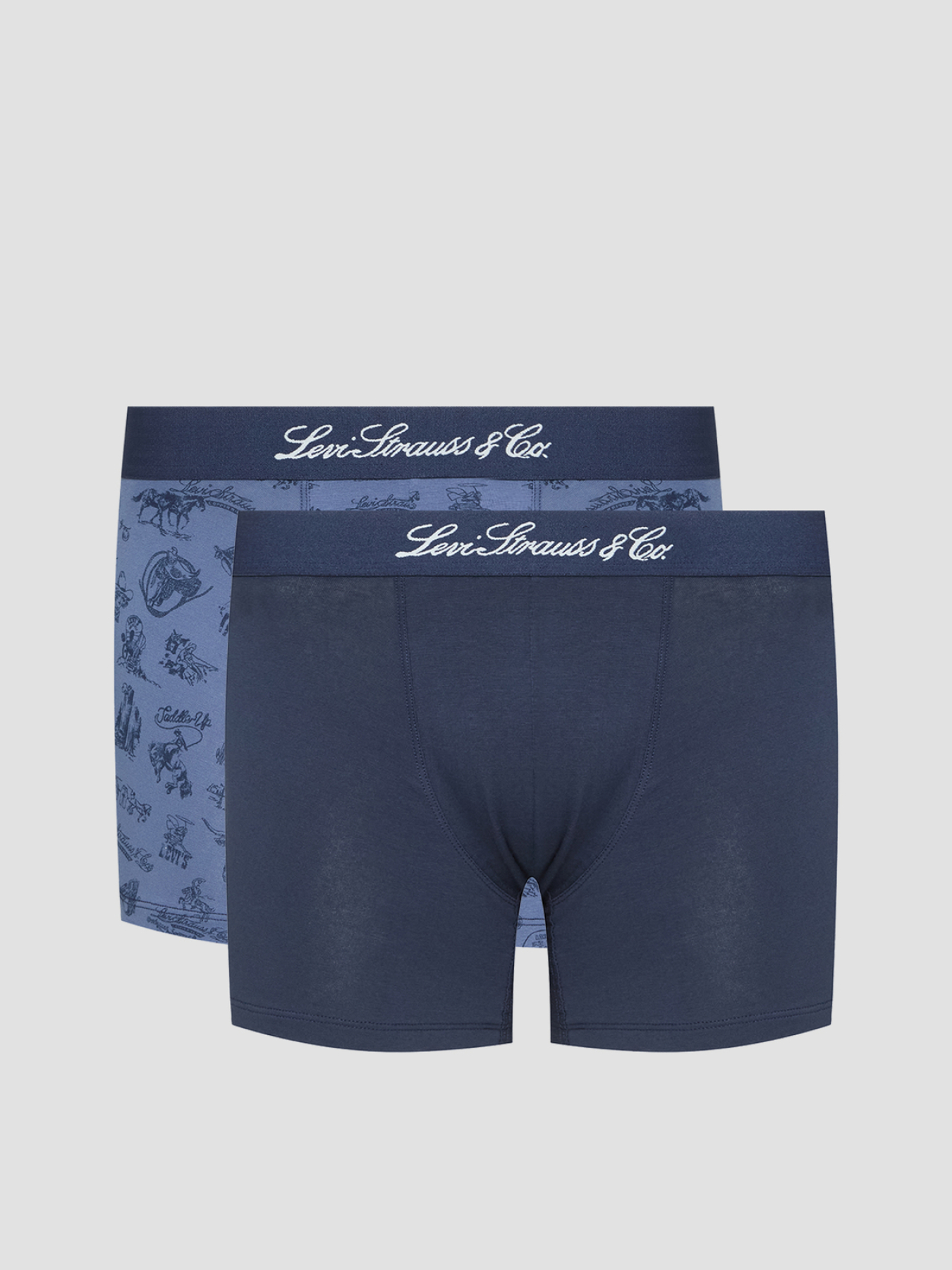 Мужские боксеры (2 шт) модель 701235950;001 Фото