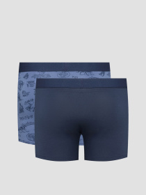Мужские боксеры (2 шт) модель 701235950;001 Фото