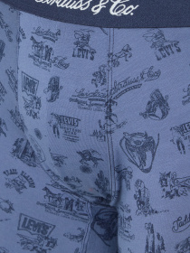 Мужские боксеры (2 шт) модель 701235950;001 Фото