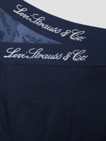 Мужские боксеры (2 шт) модель 701235950;001 Фото