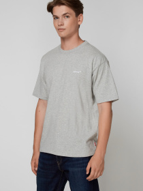 Чоловіча сіра футболка модель A0637;0013 Фото