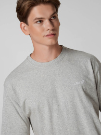 Чоловіча сіра футболка модель A0637;0013 Фото