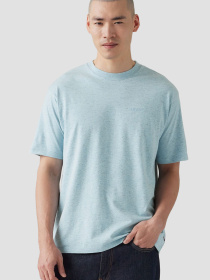 Чоловіча блакитна футболка модель A0637;0141 Фото