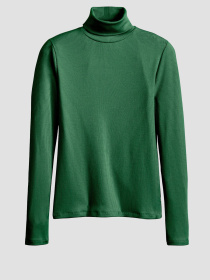 Жіночий зелений гольф модель A8769;0001 Фото