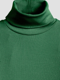 Жіночий зелений гольф модель A8769;0001 Фото