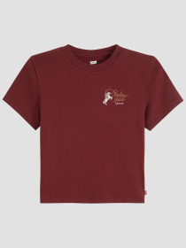 Футболка Levi's модель A8798;0070 Фото