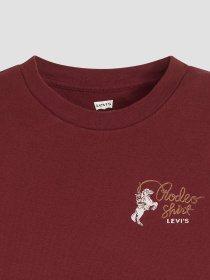 Футболка Levi's модель A8798;0070 Фото