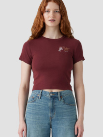 Футболка Levi's модель A8798;0070 Фото