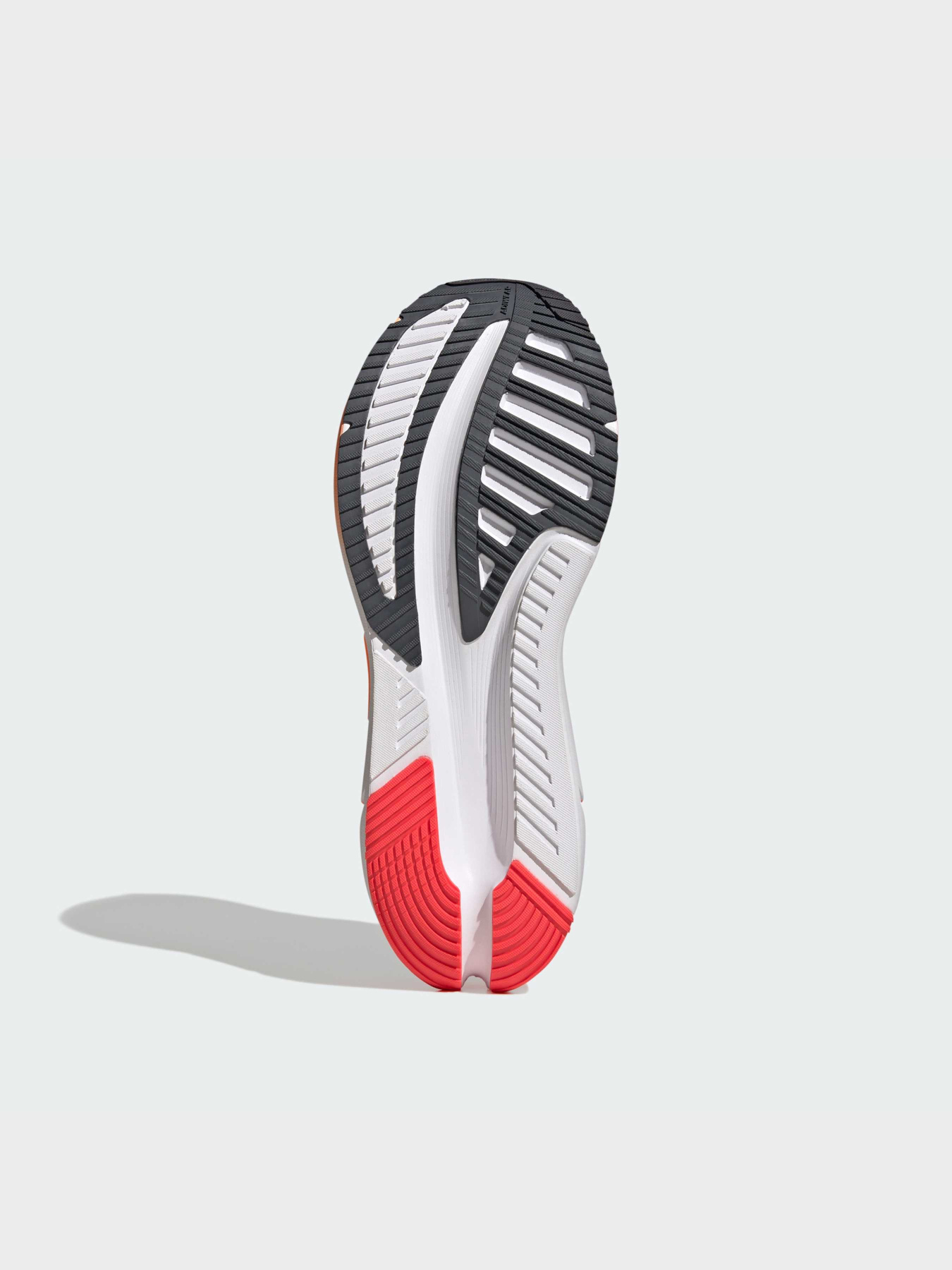 Кросівки для бігу Adidas модель JP6576 Фото