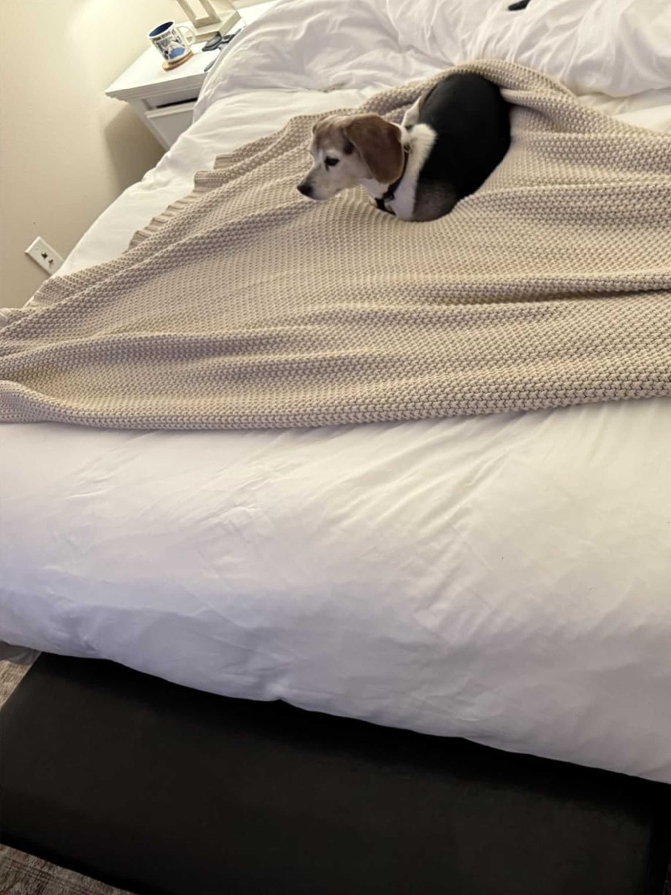 Плед - Покривало В'язані - Всі Сезони Бежевий Lovely Svi модель 181025 Плед - Покривало В'язані - Всі Сезони Бежевий Lovely Svi модель 181025 Фото