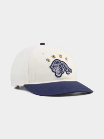 Кепка PUMA Vintage Low Curve Bb Cap модель 026846 Фото