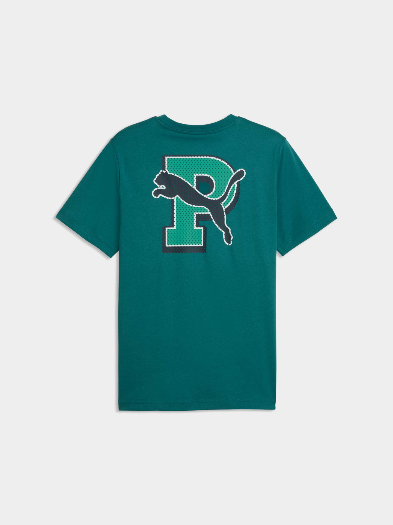 Футболка PUMA Graphic Tee модель 691776 Фото