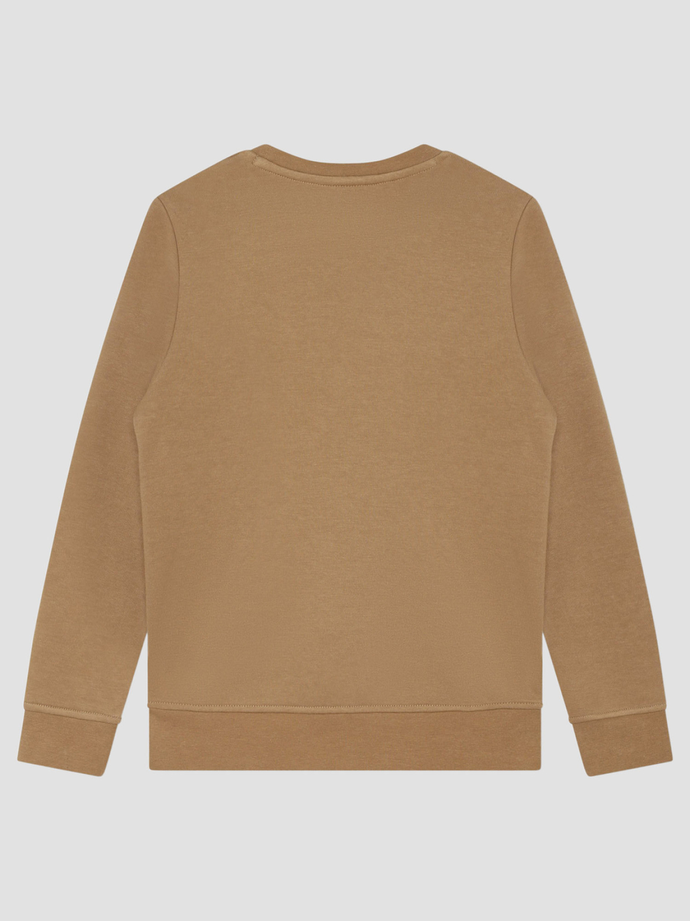 Детский бежевый свитшот модель J50717;269 Фото