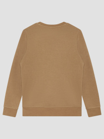Детский бежевый свитшот модель J50717;269 Фото
